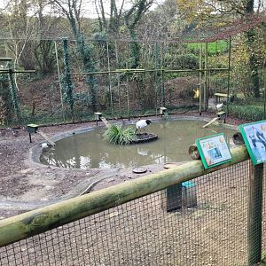 Walkthrough Aviary #8 -Zoo de Santillana del Mar (2023)