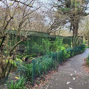 European mink and Domestic ferret exhibits -Zoo de Santillana del Mar (2023)