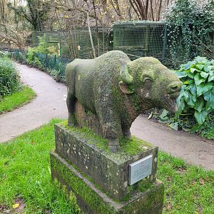 Bison statue -Zoo de Santillana del Mar (2023)