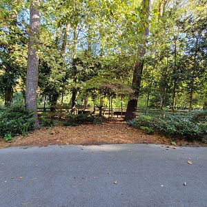 Salisbury Zoo - Former birds of prey loop, unused for 10+ years