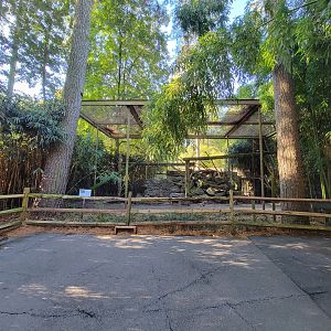 Salisbury Zoo - Canada lynx exhibit