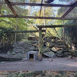 Salisbury Zoo - Canada lynx exhibit