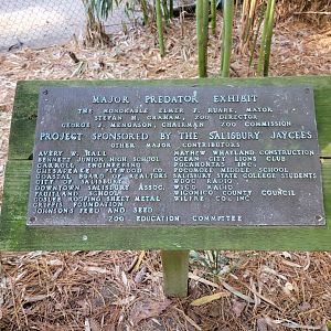 Salisbury Zoo - "Major Predator Exhibit" sign by lynx