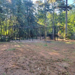Salisbury Zoo - Construction of bald eagle exhibit