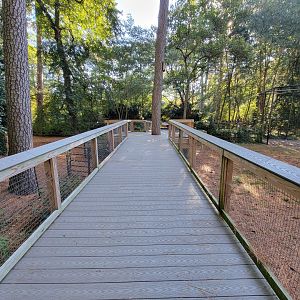 Salisbury Zoo - Boardwalk over South American yard