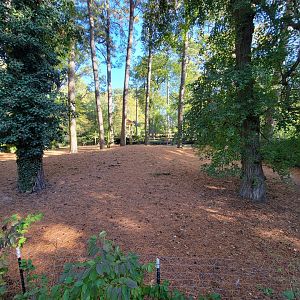 Salisbury Zoo - South American yard