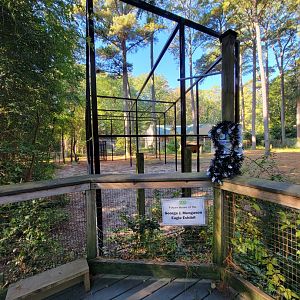 Salisbury Zoo - Bald eagle construction