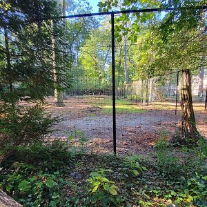 Salisbury Zoo - Right end of white-tail deer yard