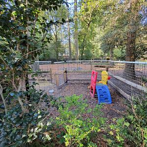 Salisbury Zoo - Separate area to pen off the goats in the white-tail yard