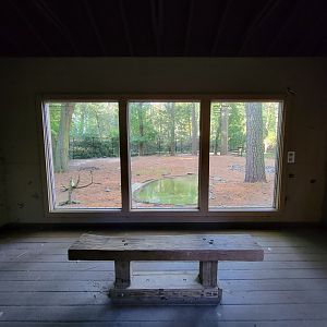 Salisbury Zoo - White-tailed deer exhibit viewing