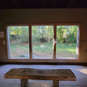 Salisbury Zoo - Red wolf exhibit viewing