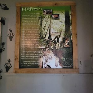 Salisbury Zoo - Red wolf recovery sign