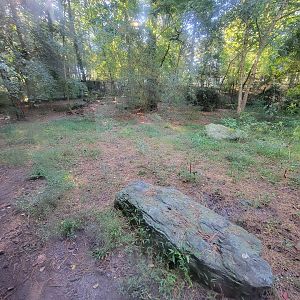 Salisbury Zoo - Red wolf exhibit
