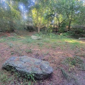 Salisbury Zoo - Red wolf exhibit