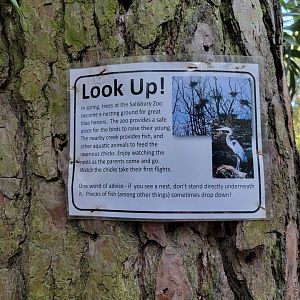 Salisbury Zoo - Sign about blue heron nests