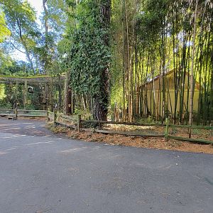 Salisbury Zoo - Black-handed spider monkey exhibit on left, holding on right