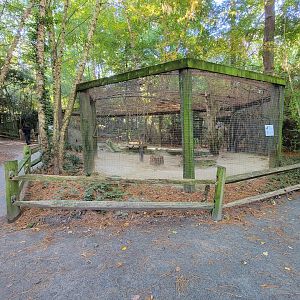 Salisbury Zoo - American crow and beaver exhibit