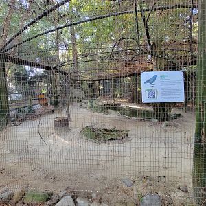 Salisbury Zoo - American crow and beaver exhibit