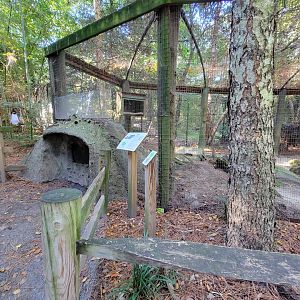 Salisbury Zoo - American crow and beaver exhibit