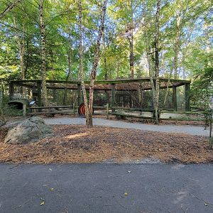 Salisbury Zoo - American crow and beaver exhibit