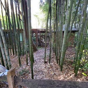Salisbury Zoo - Off-show area for tamarins, ocelot, etc