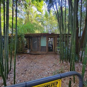 Salisbury Zoo - Off-show area for tamarins, ocelot, etc