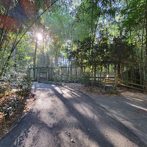 Salisbury Zoo - Walking up to Andean bear exhibits
