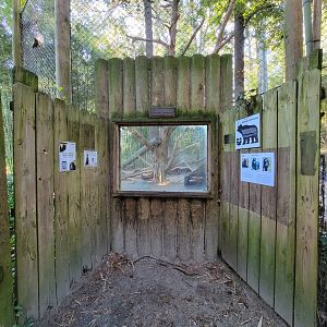 Salisbury Zoo - Andean bear glass window viewing