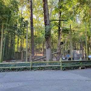 Salisbury Zoo - Andean bear exhibit