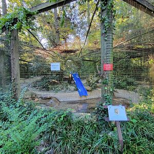 Salisbury Zoo - River otter exhibit, currently empty