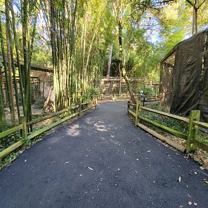 Salisbury Zoo - Smaller South American animals area