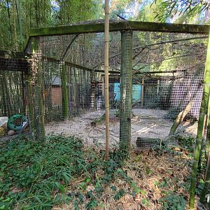 Salisbury Zoo - Ocelot exhibit