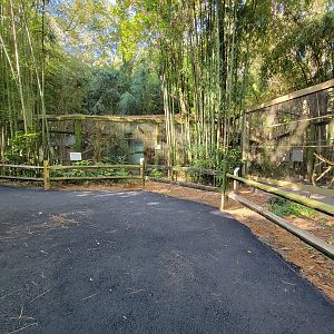 Salisbury Zoo - Ocelot exhibit