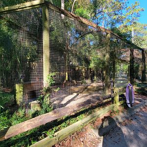 Salisbury Zoo - North American ducks exhibit