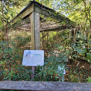 Salisbury Zoo - Burrowing owl exhibit