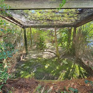 Salisbury Zoo - Burrowing owl exhibit