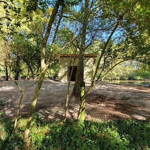 Salisbury Zoo - New alpaca barn