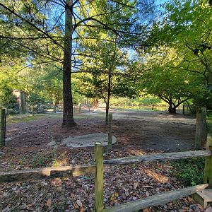 Salisbury Zoo - Alpaca yard