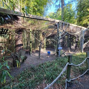 Salisbury Zoo - Southern sloth exhibit