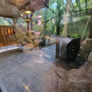 Salisbury Zoo - Yellow anaconda exhibit (the glare is always there, sadly)