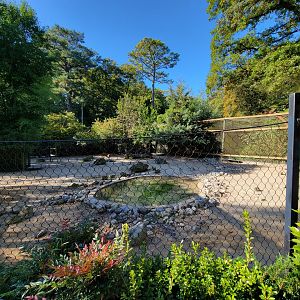 Salisbury Zoo - Bennett's wallaby yard