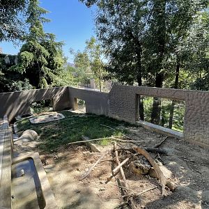 Indian crested porcupine exhibit
