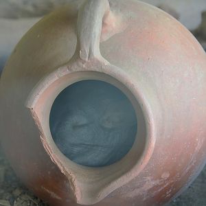 Domestic Long-tailed chinchilla (Chinchilla lanigera) in a vase, 2023-06-24