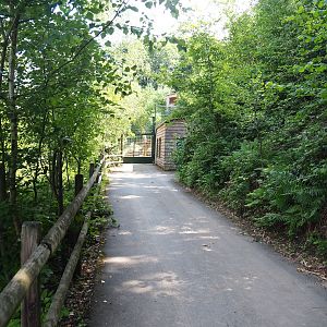 Walkway to lower Amur tiger viewing area, 2023-06-24