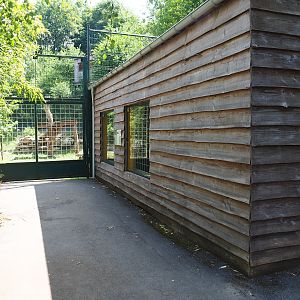 Amur tiger holding building and Lower Amur tiger viewing area, 2023-06-24