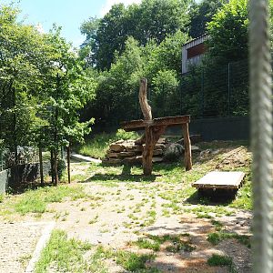 Amur tiger exhibit, 2023-06-24