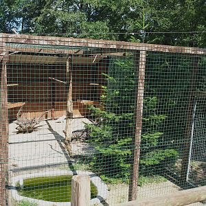 Snowy owl aviary, 2023-06-24