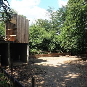 Potbelly pig paddock, with shelter underneath snowy owl aviary, 2023-06-24
