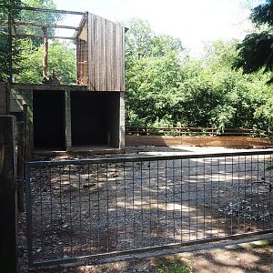 Potbelly pig paddock, with shelter underneath snowy owl aviary, 2023-06-24