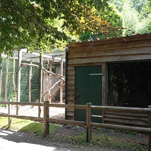 Rhesus macaque exhibit and barn, 2023-06-24